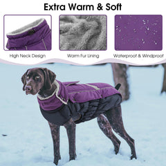 Queenmore Warm Fleece Dog Jacket with reflective strips for night visibility.