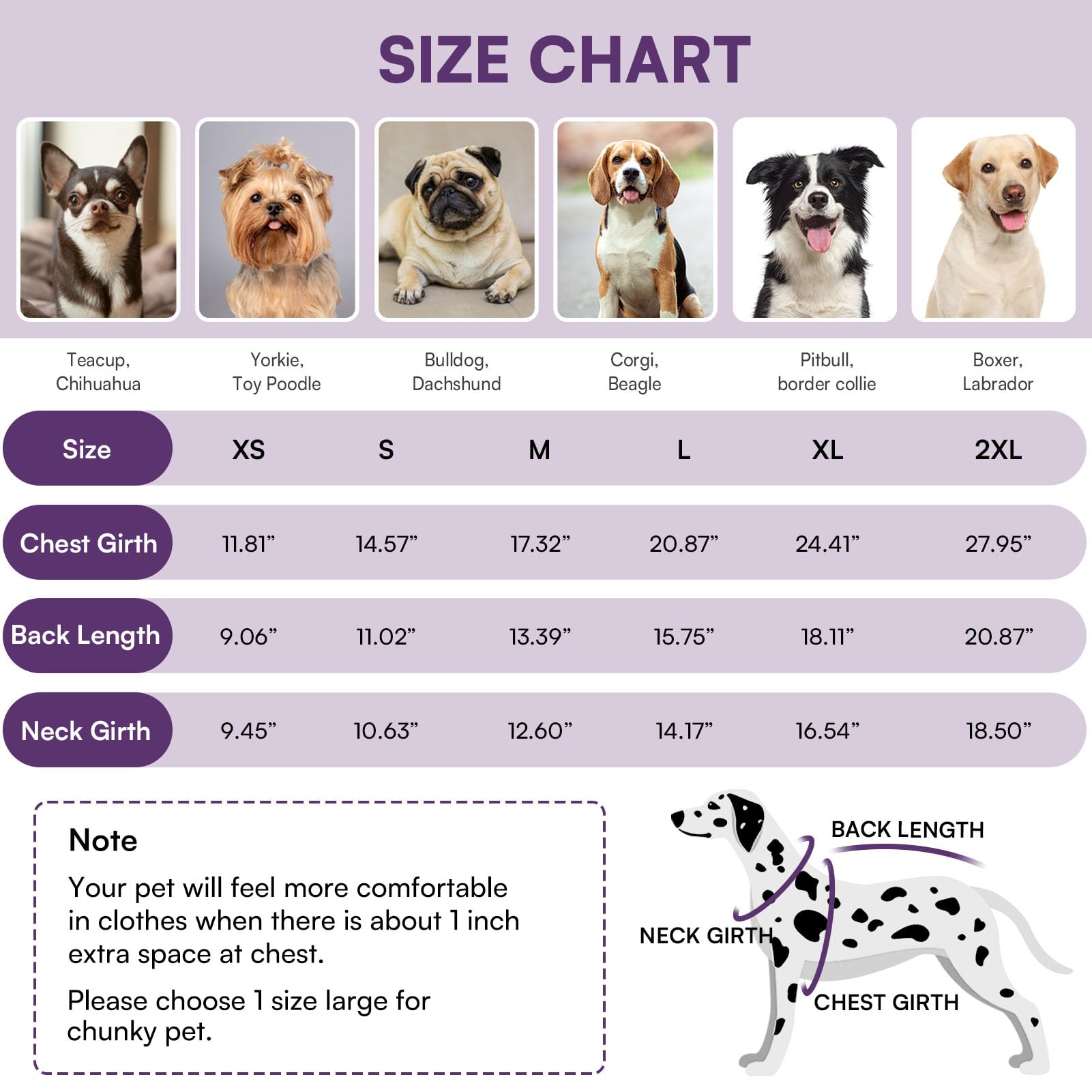 Queenmore dog jacket waterproof outer layer protects fur during rain and snow.