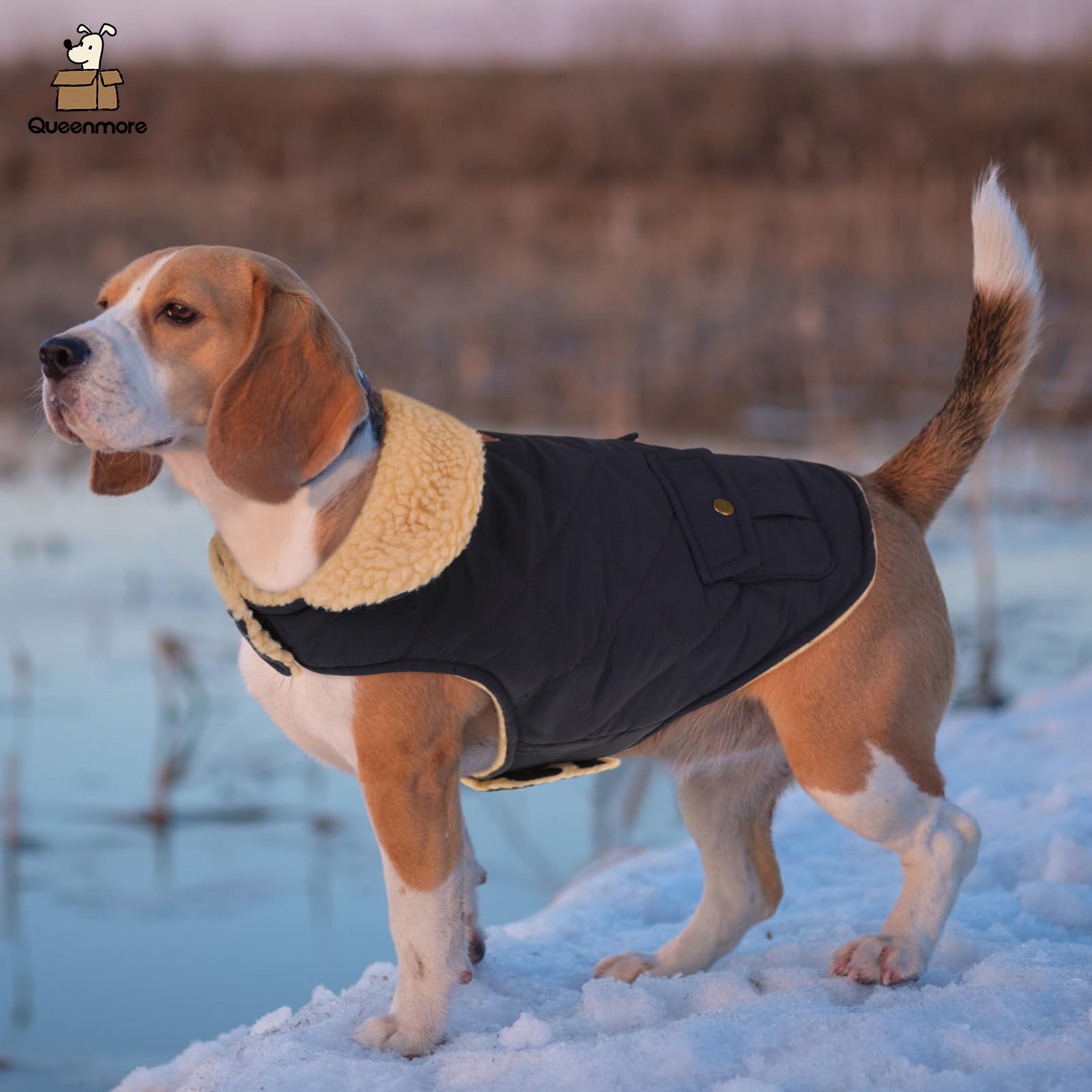 Queenmore warm-puffer dog coat back pocket storage for snacks or bags