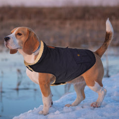 Queenmore Warm Puffer Dog Coat back pocket demonstrates convenient storage on walks.