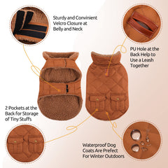 Queenmore warm puffer dog coat collar up adds wind protection during strolls