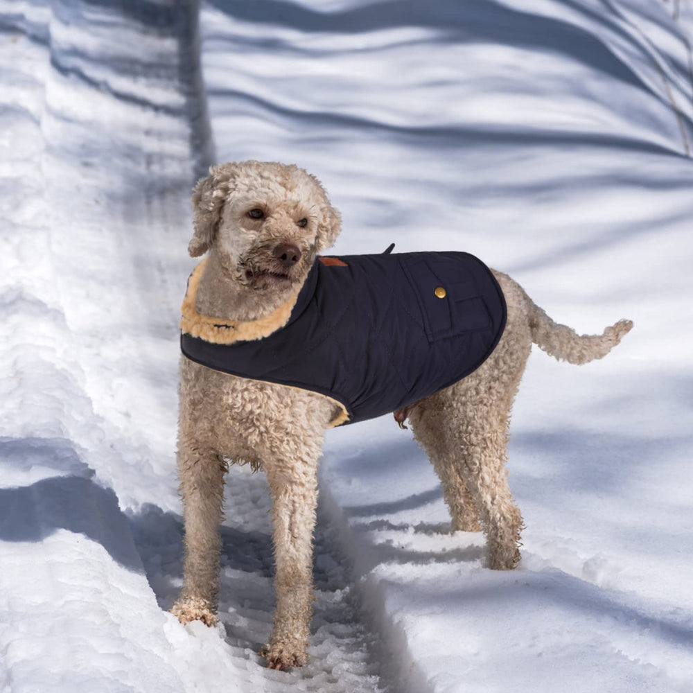 Queenmore Warm Puffer Dog Coat size-chart reference helps find a comfortable fit.