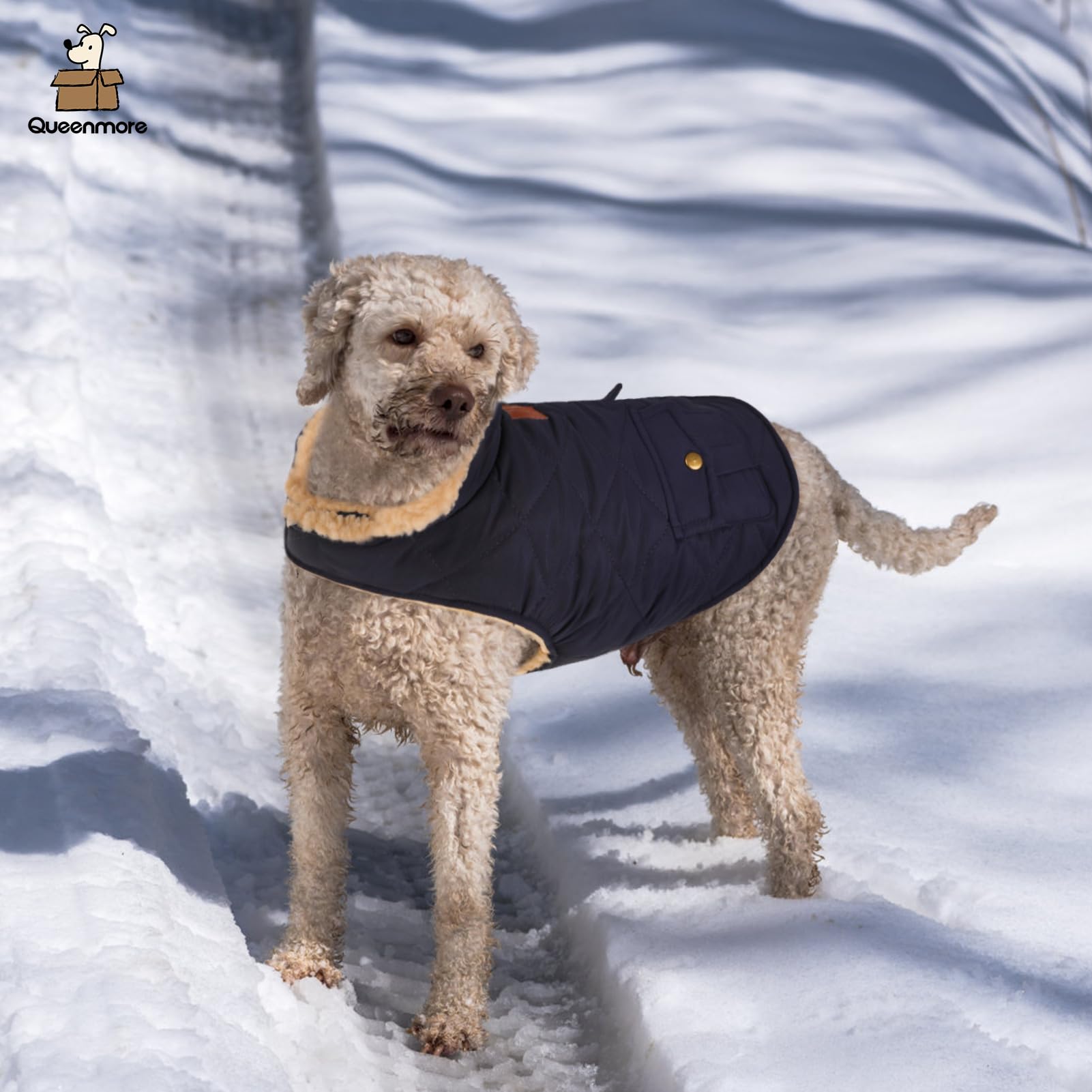 Queenmore warm-puffer dog coat size guide helps pick the right fit