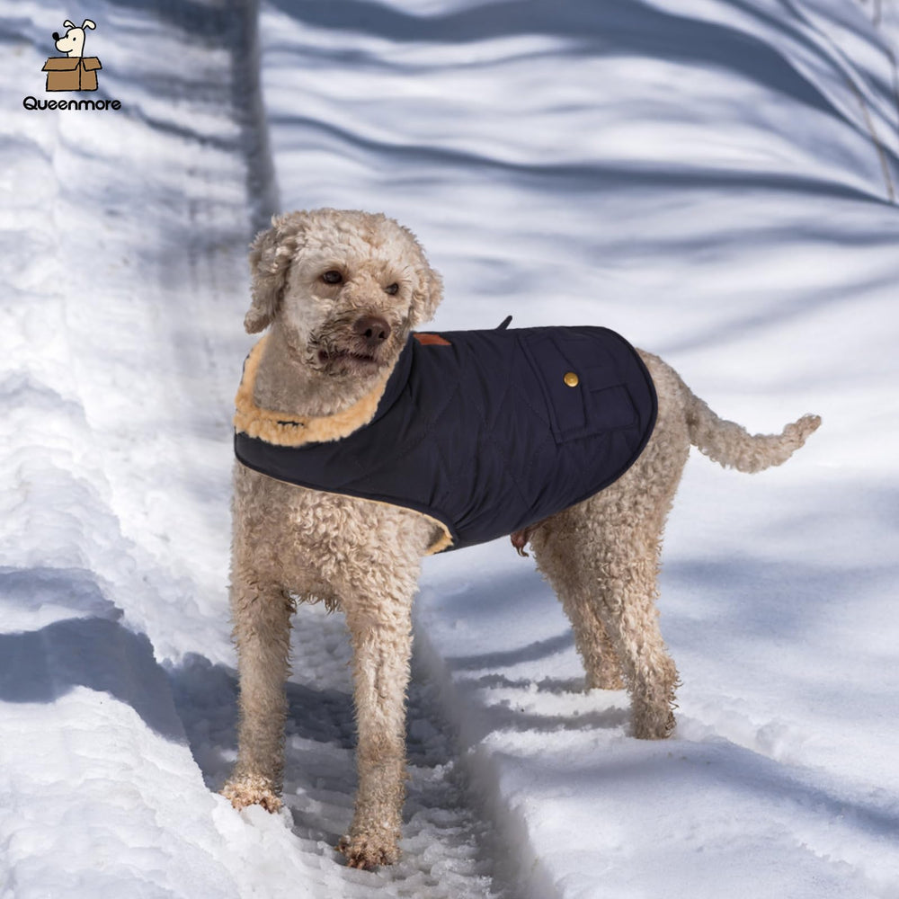 Queenmore warm-puffer dog coat size guide helps pick the right fit