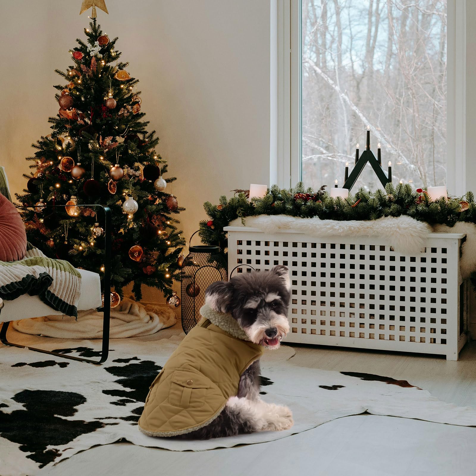 Queenmore warm-puffer-dog-coat-storage-pockets keep small items organized.