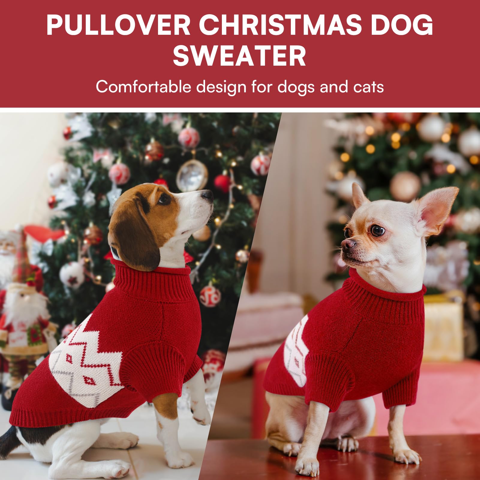 Queenmore pet clothes are easy-care and machine washable.