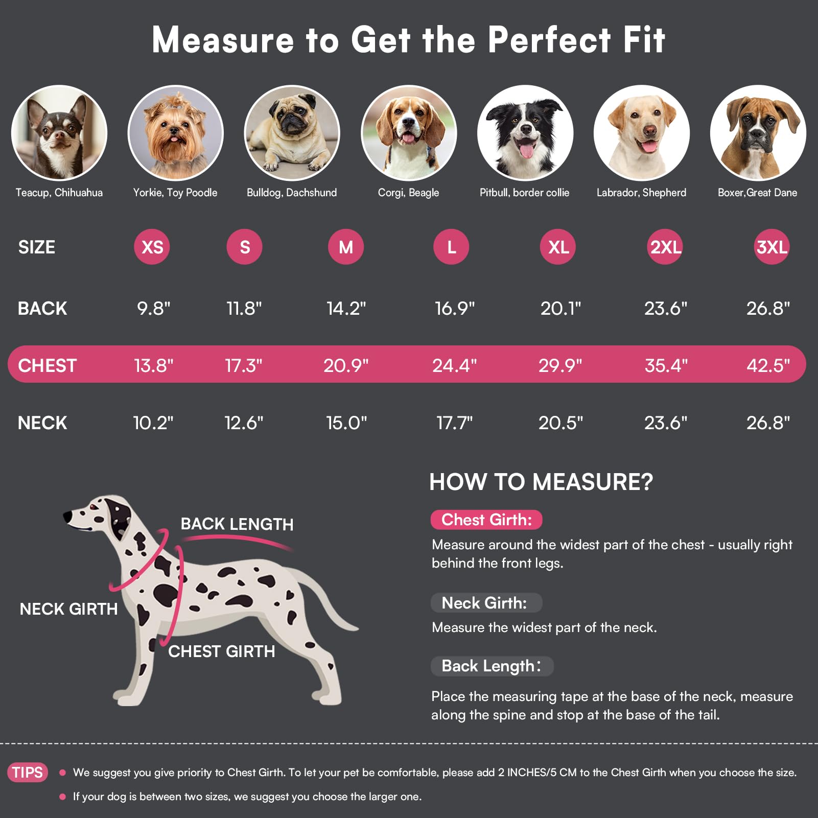 Queenmore waterproof dog coat keeps your pet dry in rain or snow