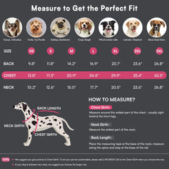 Queenmore waterproof dog coat keeps your pet dry in rain or snow