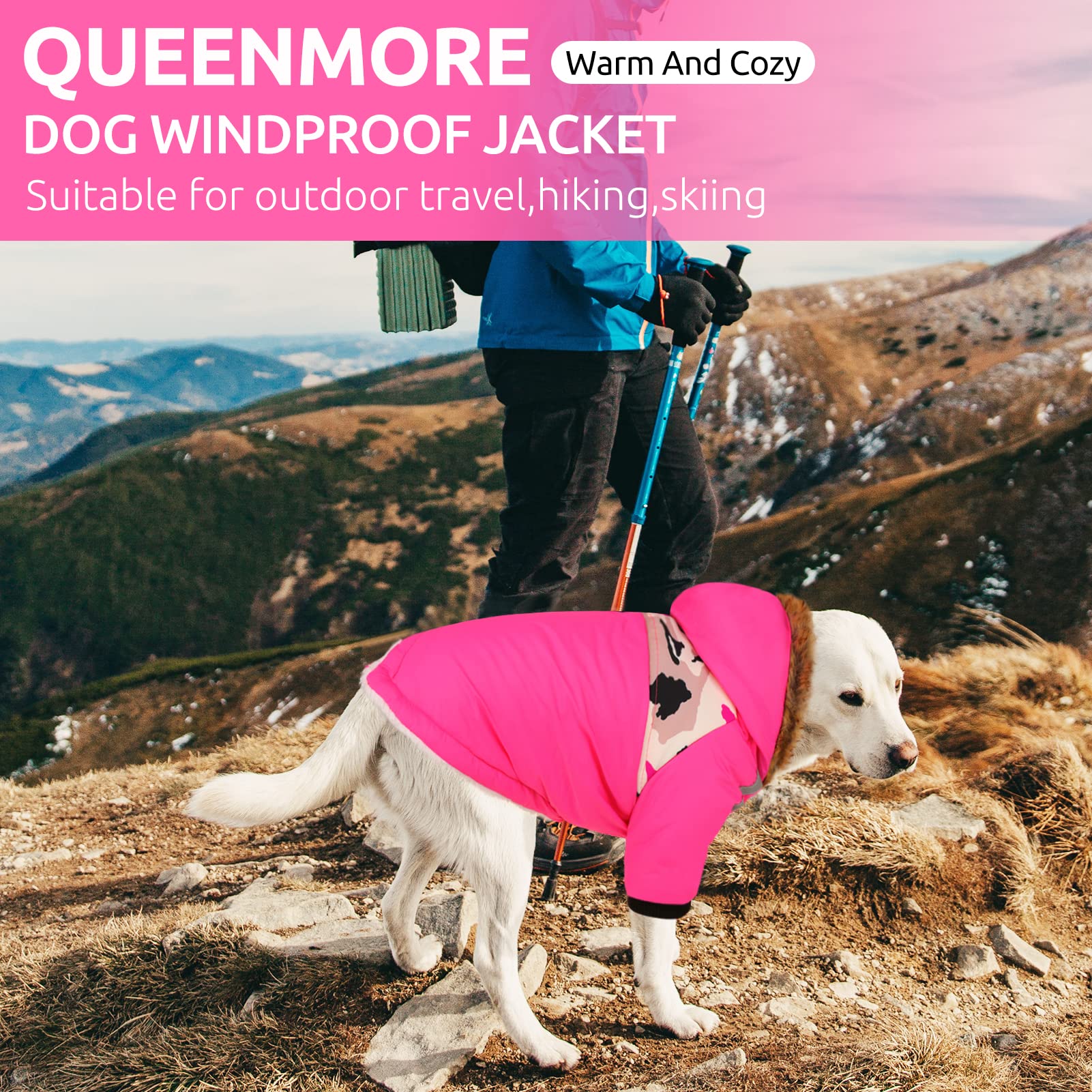 Queenmore waterproof windproof dog jacket protects in rain and snow