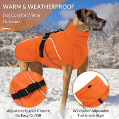 Queenmore winter dog coat adjustable buckle ensures quick on/off and secure fit.