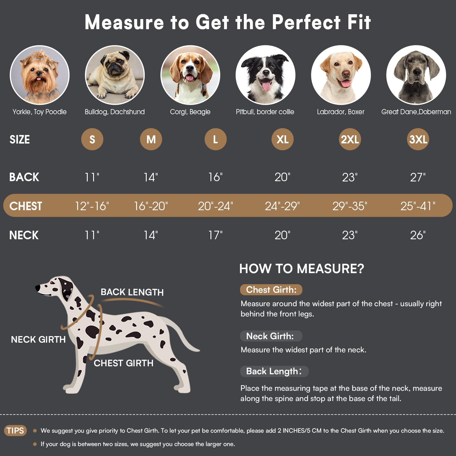 Queenmore quick-release buckles make dressing quick and easy.