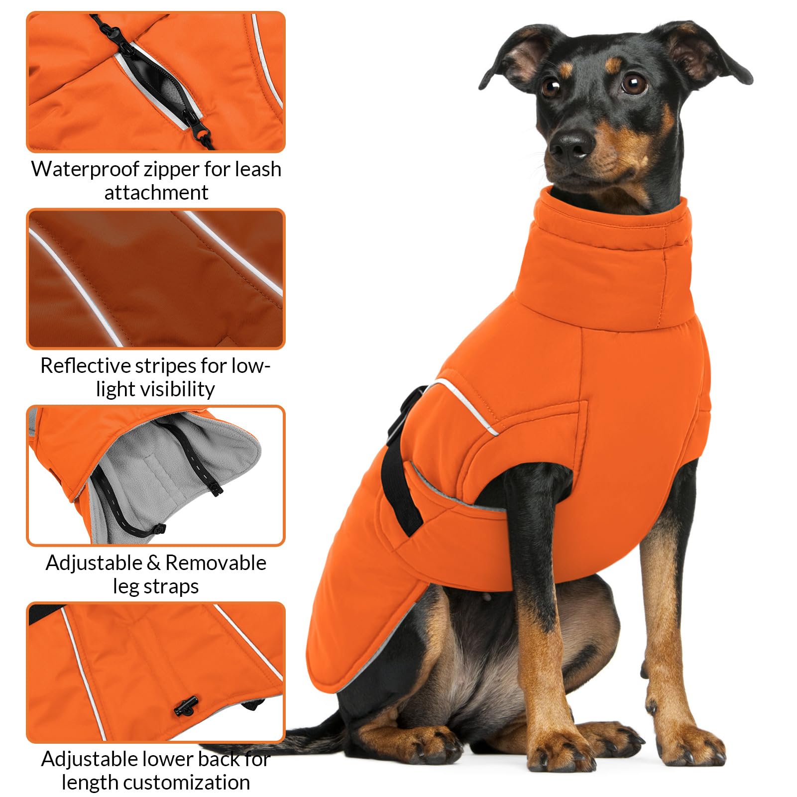 Queenmore winter dog coat leash hole enables harness or leash use together.