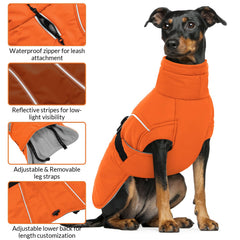 Queenmore winter dog coat leash hole enables harness or leash use together.