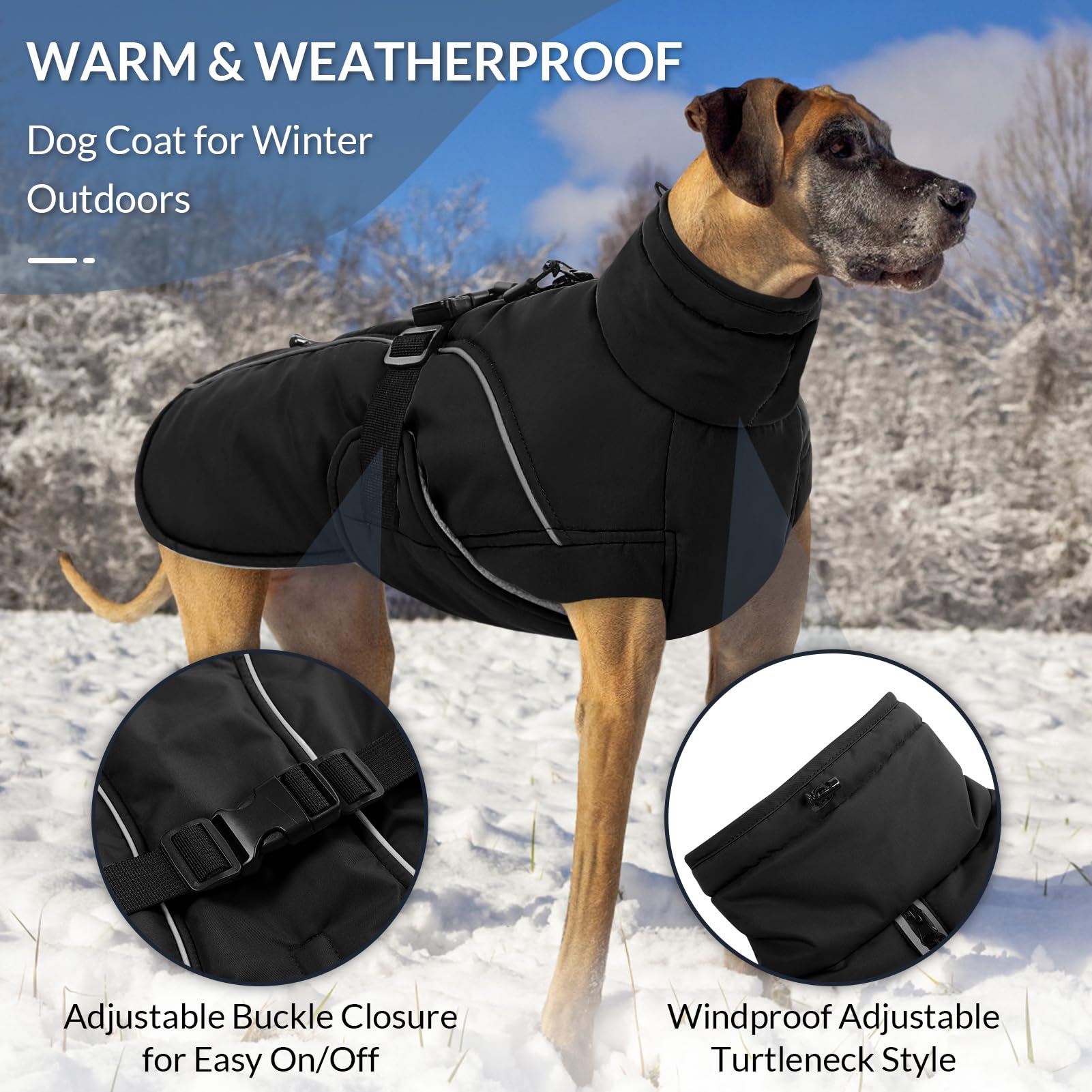 Queenmore coat with reflective strips glows at dusk for safer evening walks.