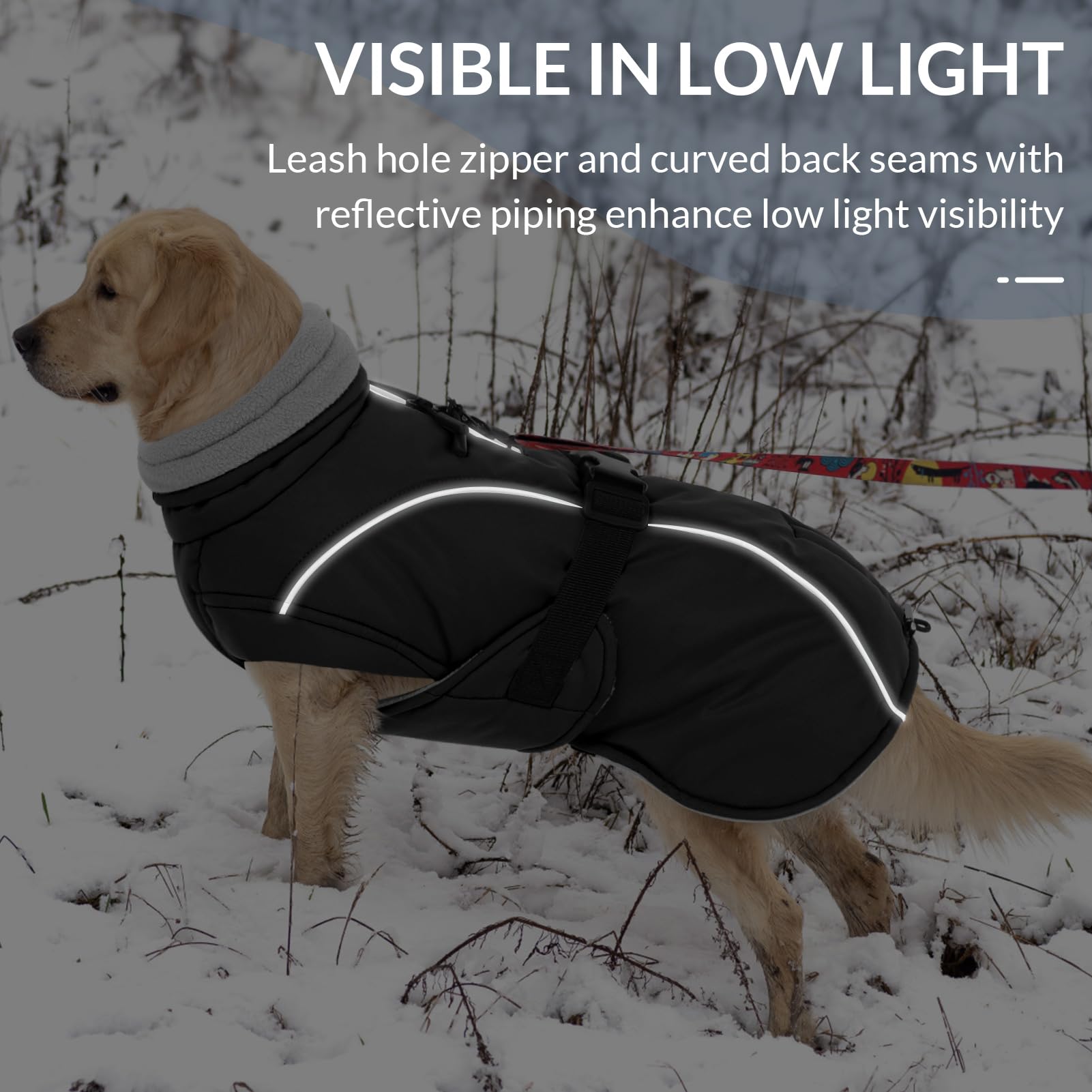 Queenmore adjustable sizing fits breeds from tiny to XXXL for outdoor outings.