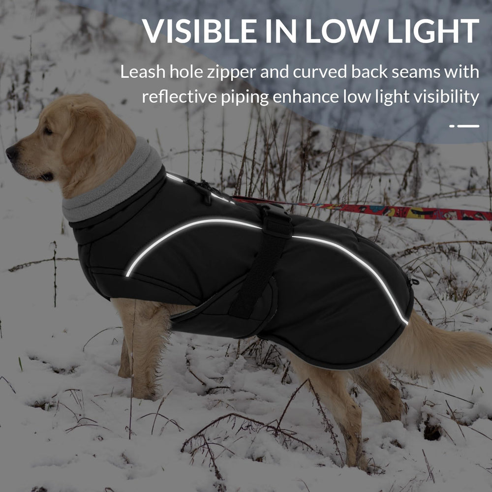 Queenmore adjustable sizing fits breeds from tiny to XXXL for outdoor outings.