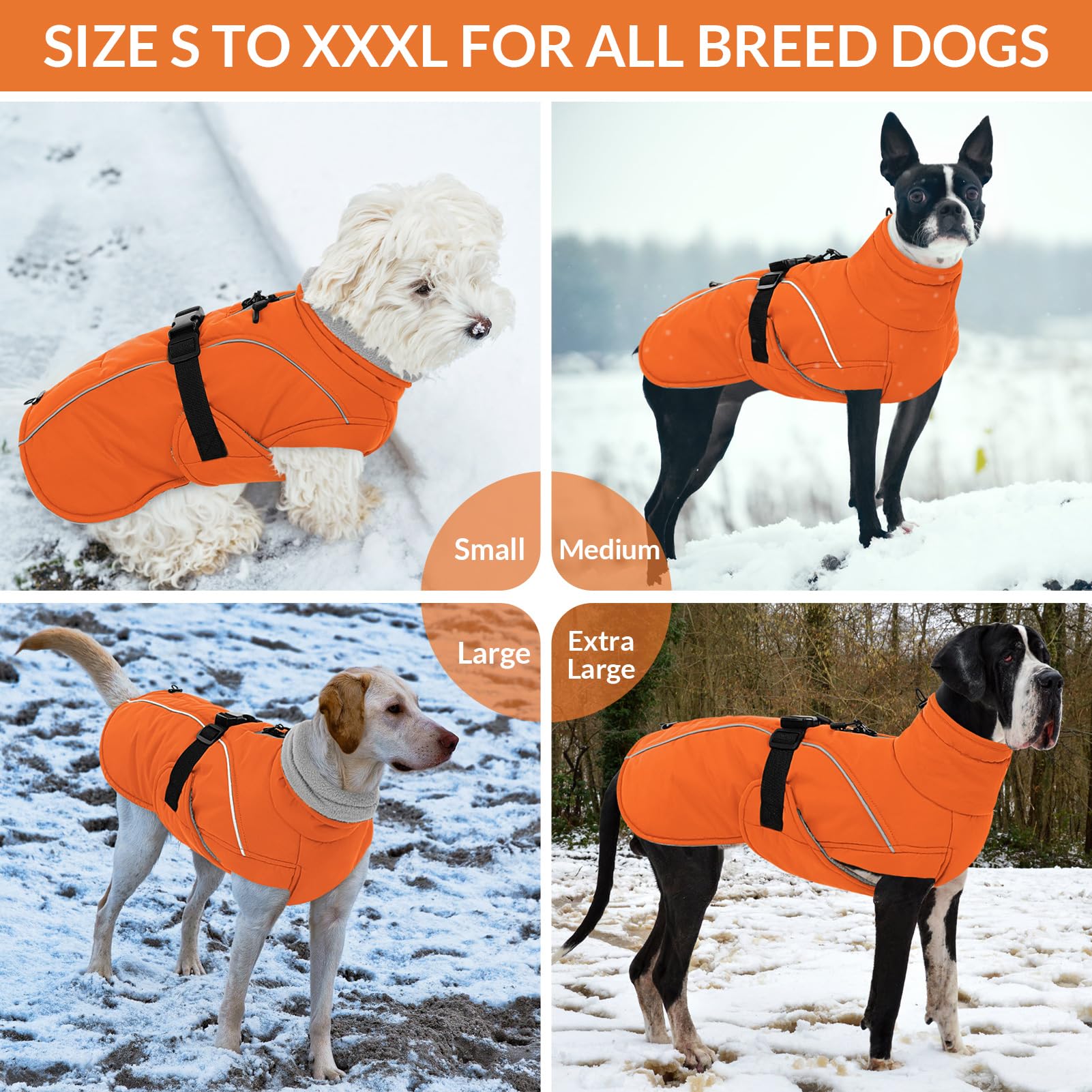 Queenmore winter dog coat designed for snowy outdoor activities keeps dogs protected.