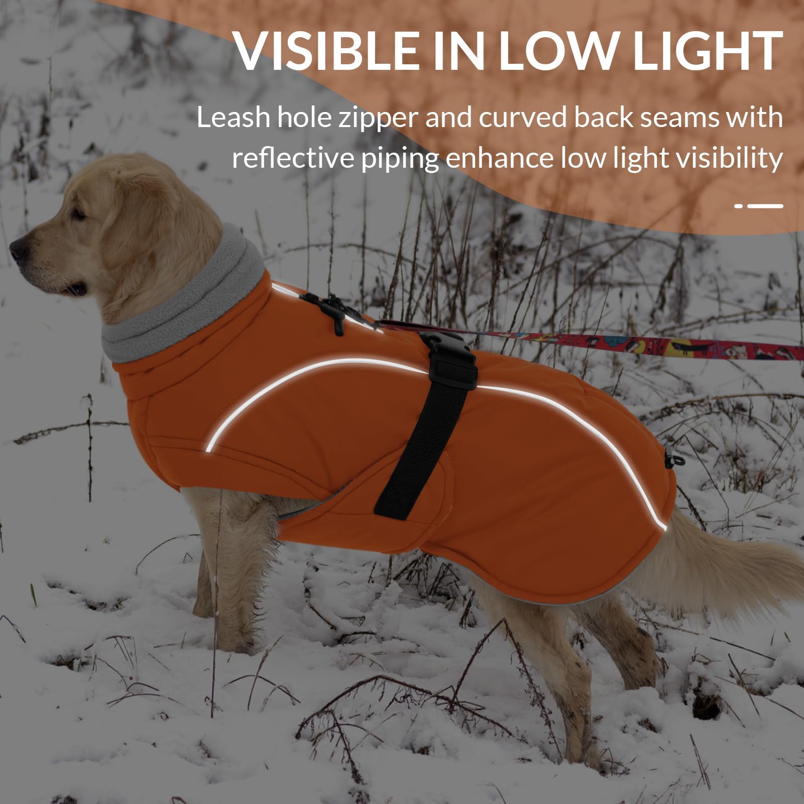 Queenmore winter dog coat available in multiple sizes fits small to XXXL breeds.