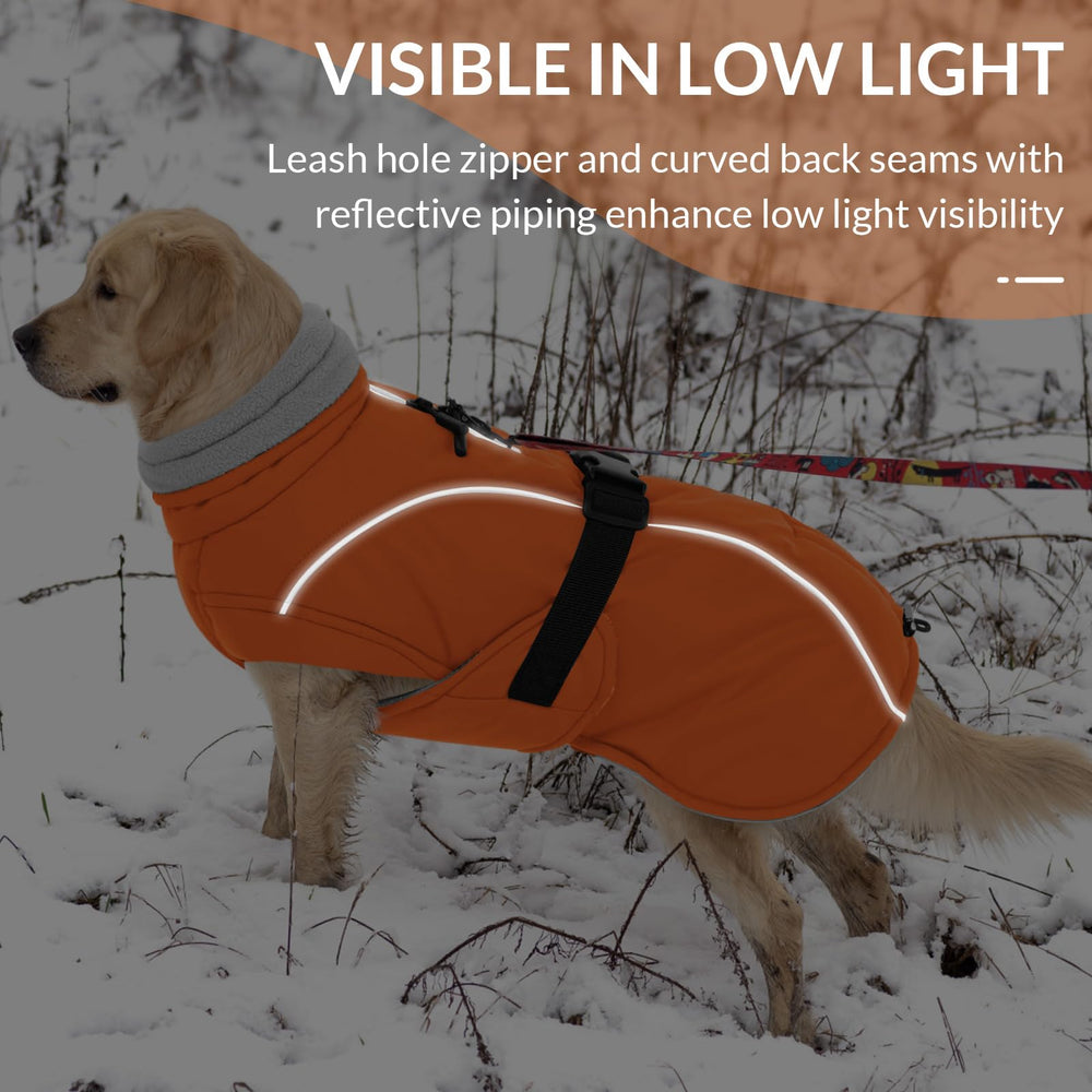 Queenmore winter dog coat available in multiple sizes fits small to XXXL breeds.