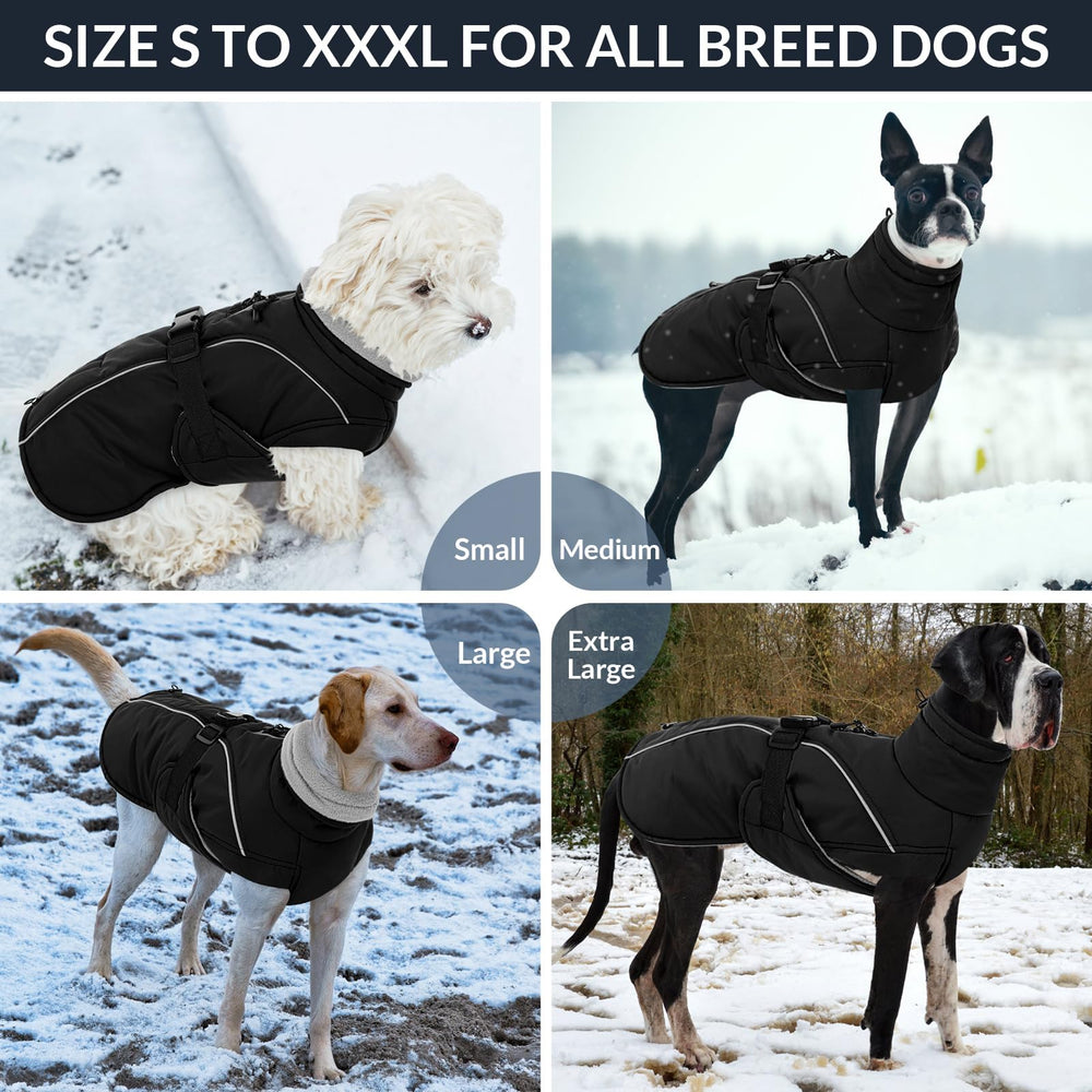 Queenmore waterproof and windproof material shields against rain and wind.