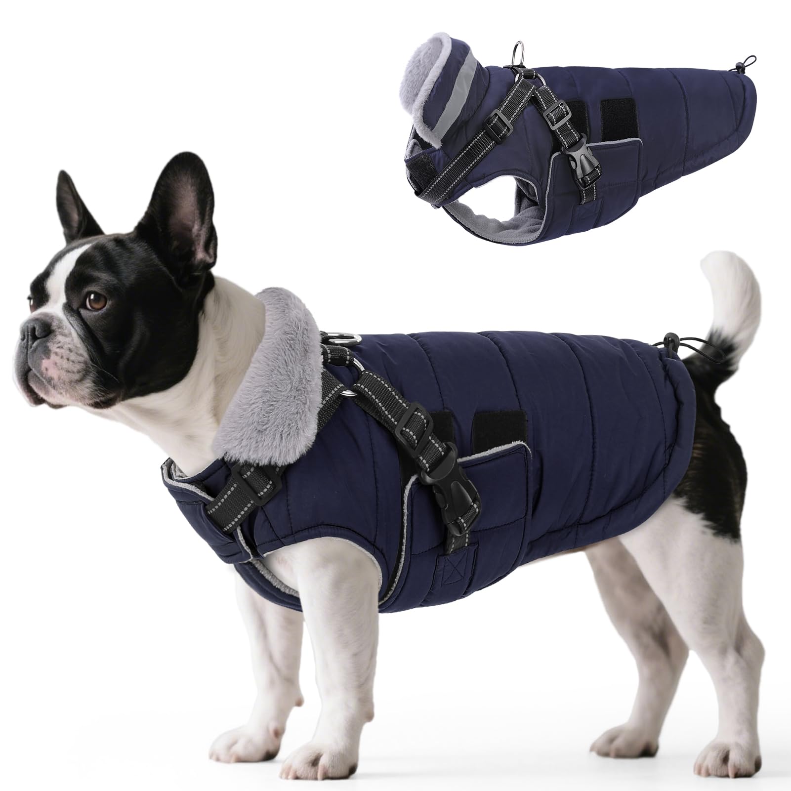 Queenmore winter dog jacket built-in harness view shows convenient leash attachment for outdoor walks.