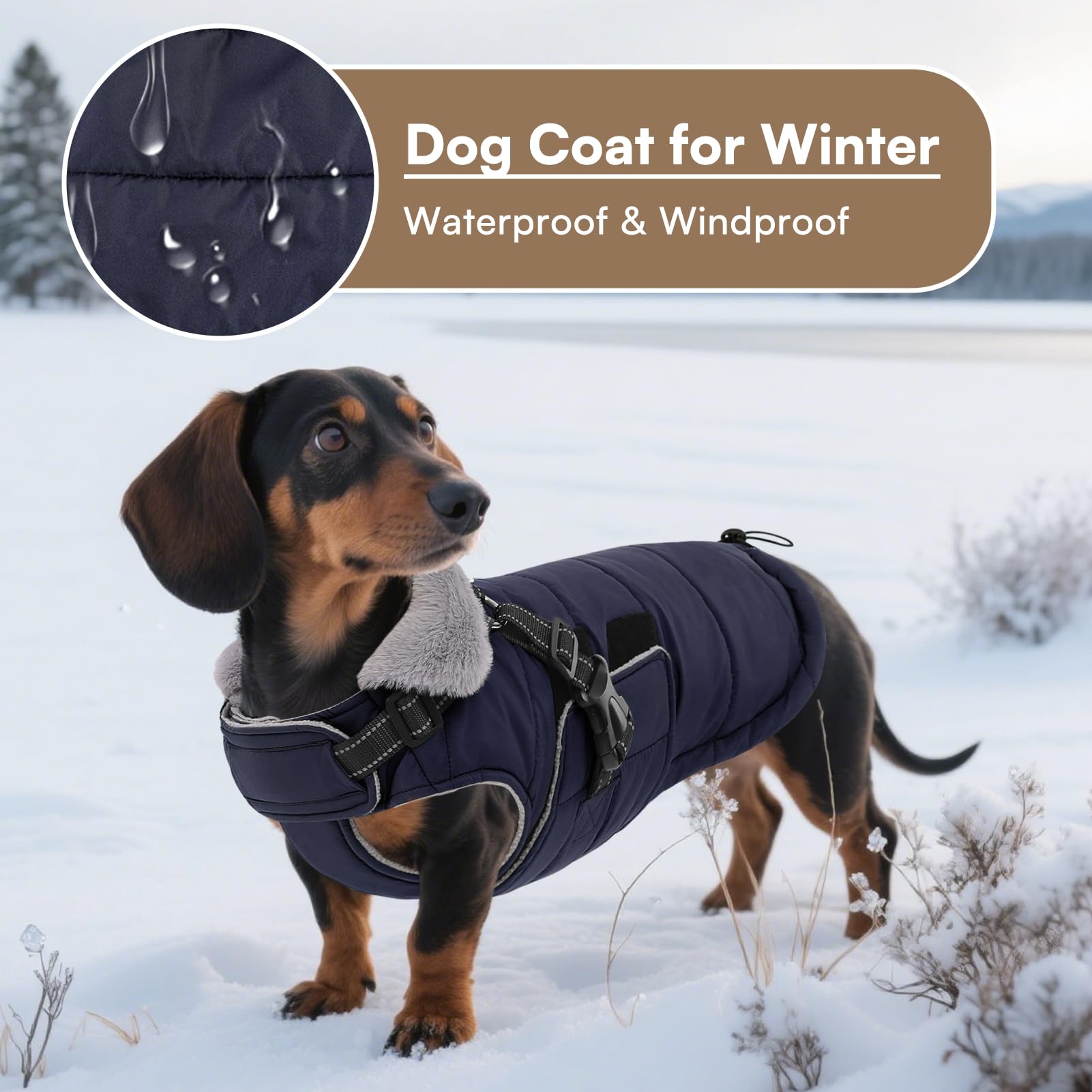 Queenmore easy-on-closure view highlights quick on/off with hook loop and buckles.