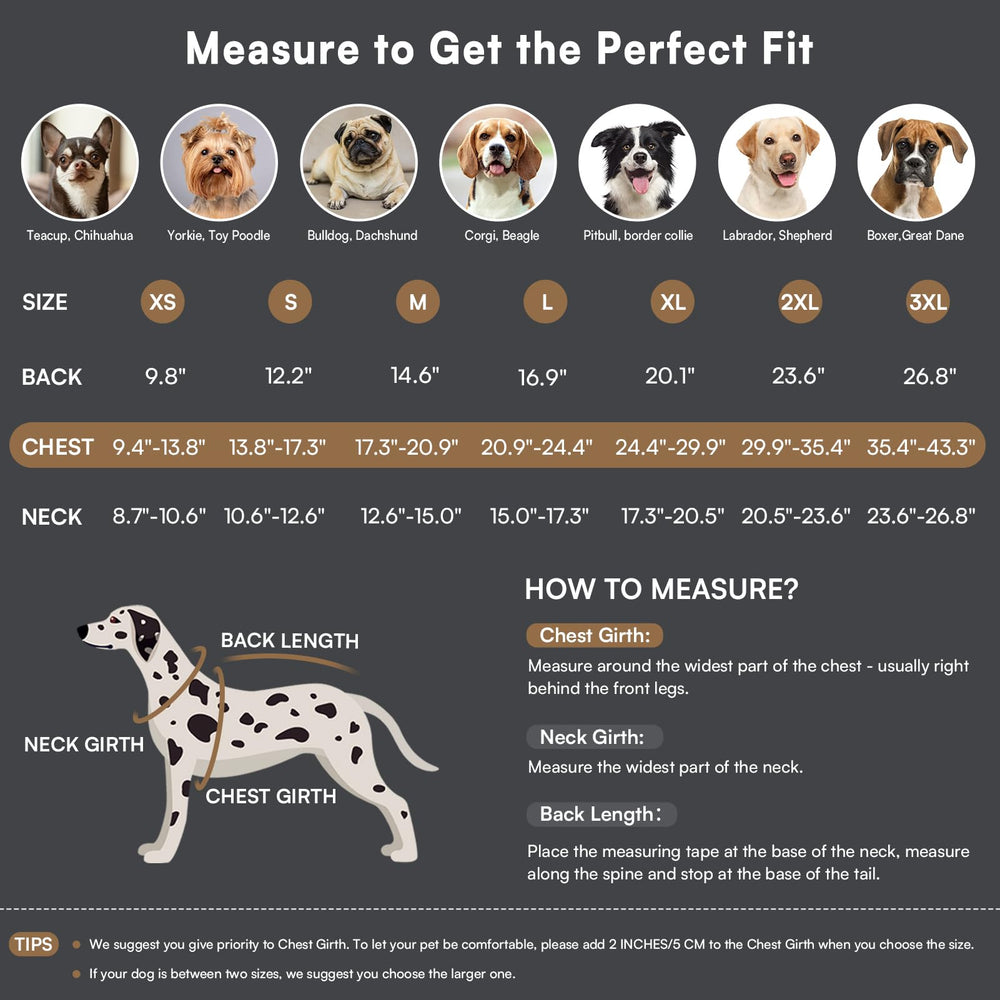 Queenmore fleece-lining closeup demonstrates soft warmth and cozy interior comfort.