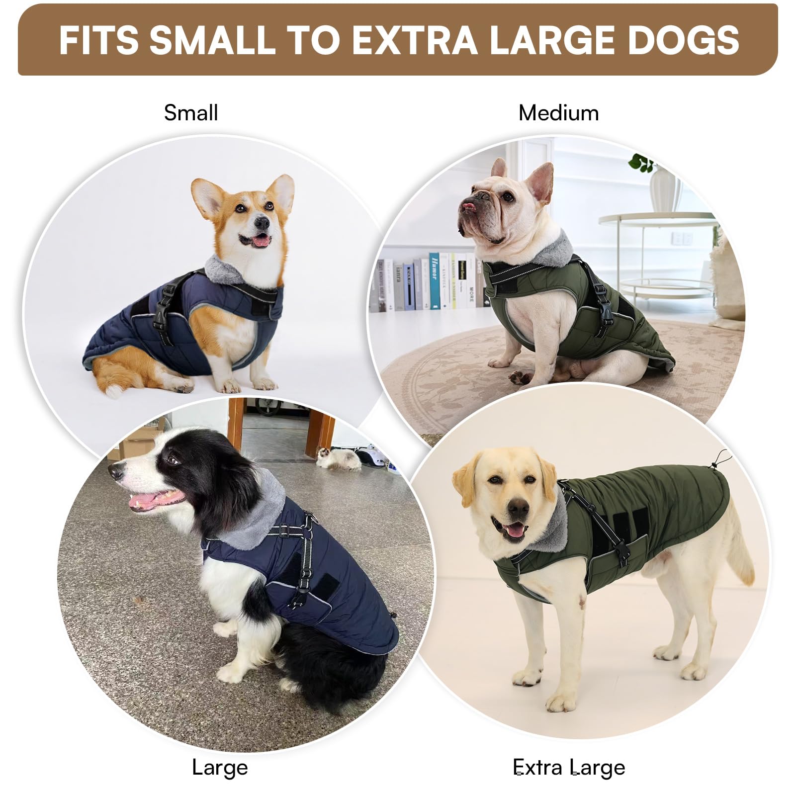 Queenmore reflective-straps night-visibility photo emphasizes safety during late strolls.