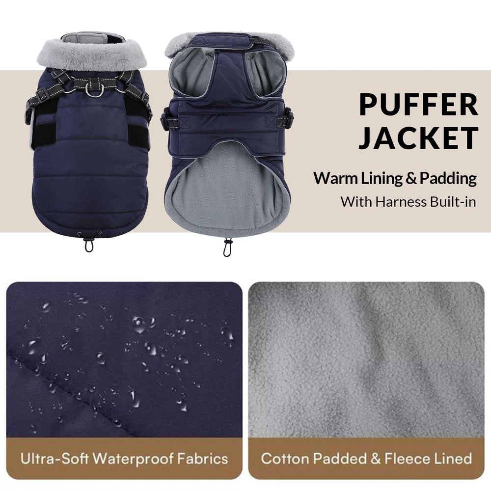 Queenmore winter dog jacket waterproof-shell image highlights rain-ready protection during wet adventures.