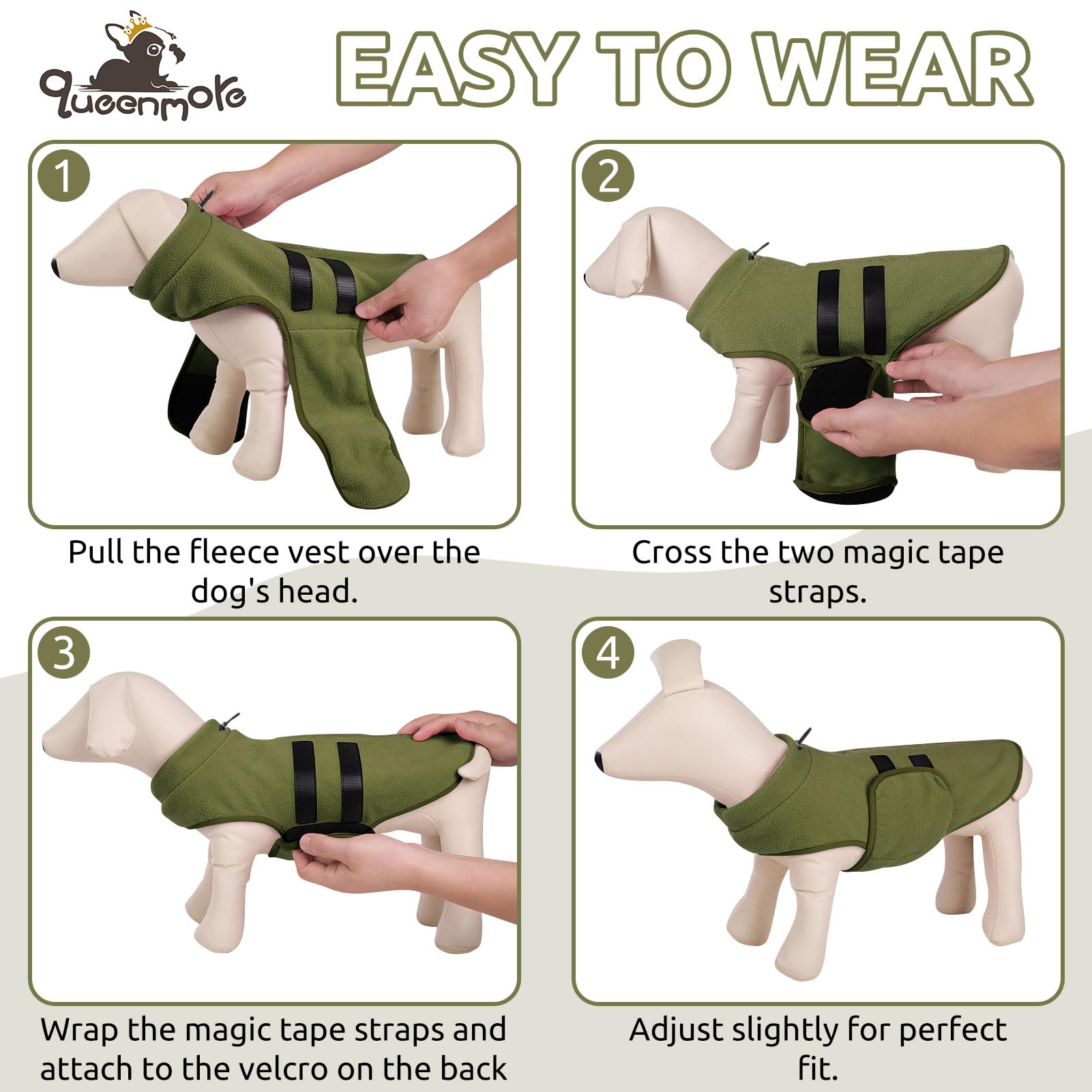 Queenmore winter outerwear on a dachshund demonstrates pull-on convenience.