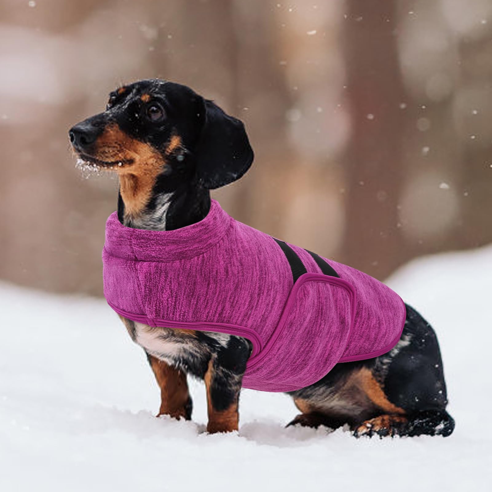 Queenmore winter sweater ready for outdoor adventures and indoor warmth alike.