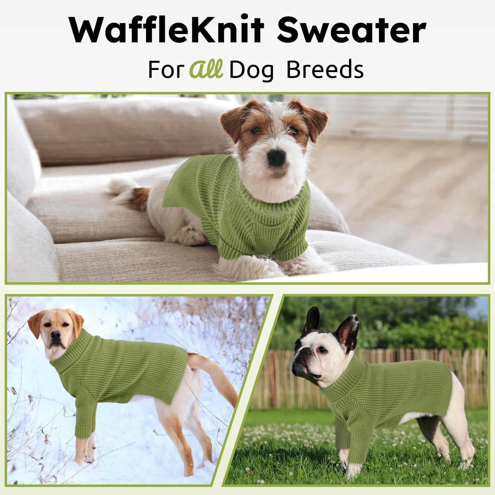 Queenmore winter dog sweater for seasonal outings and photos