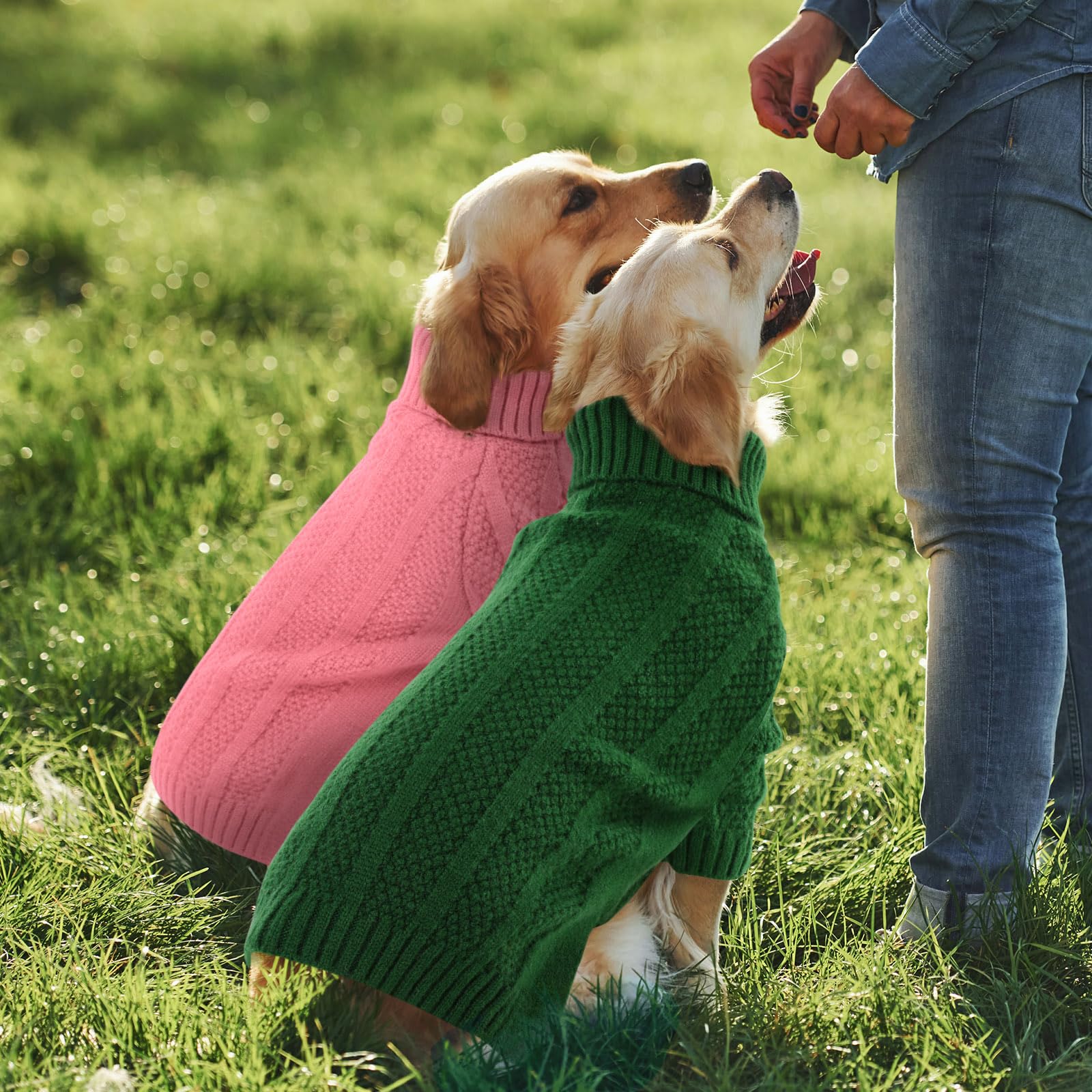 Queenmore XSmall Dog Sweater warm knit fabric—soft, cozy, and comfortable for daily wear.