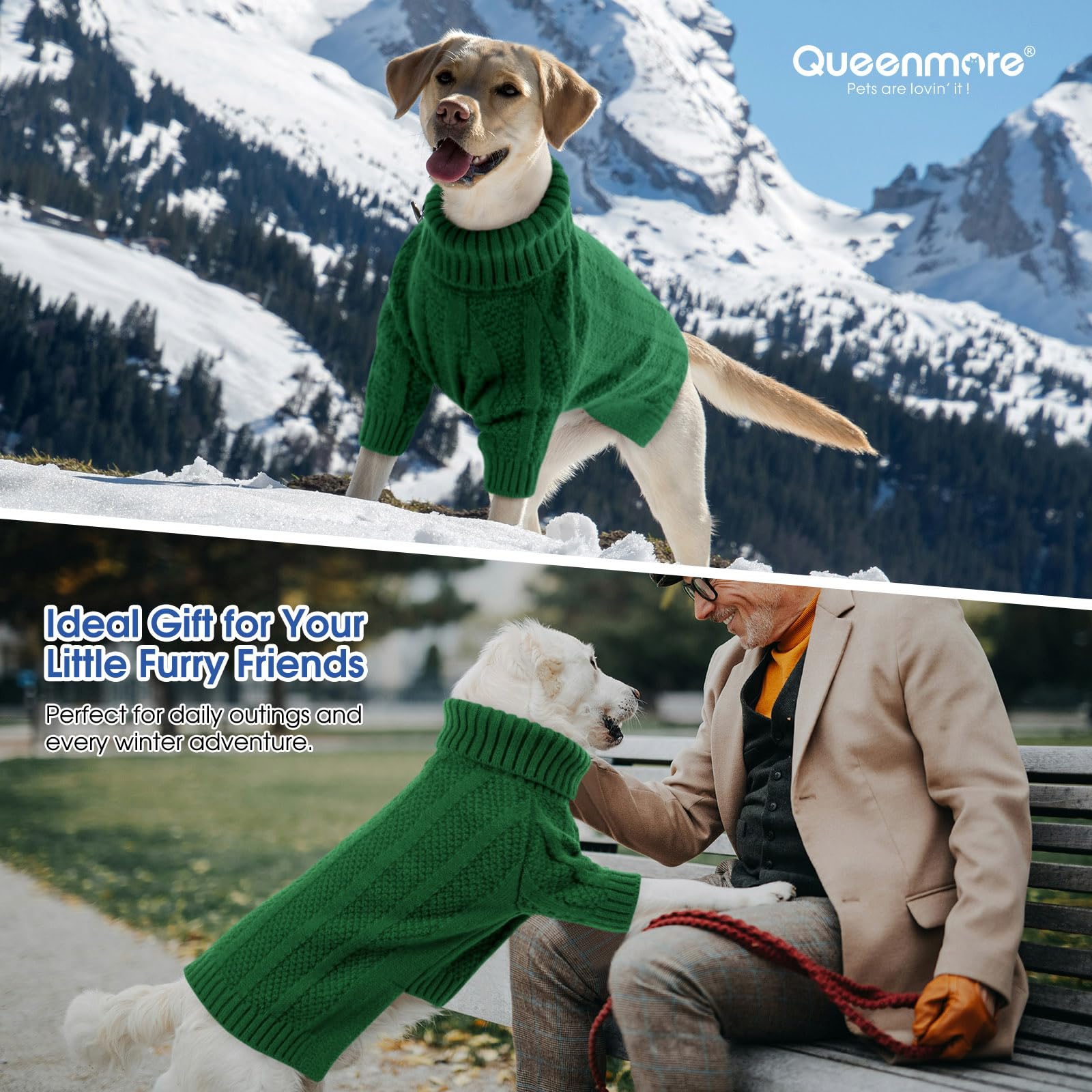 Queenmore XSmall Dog Sweater during festive photoshoot, cute holiday look.