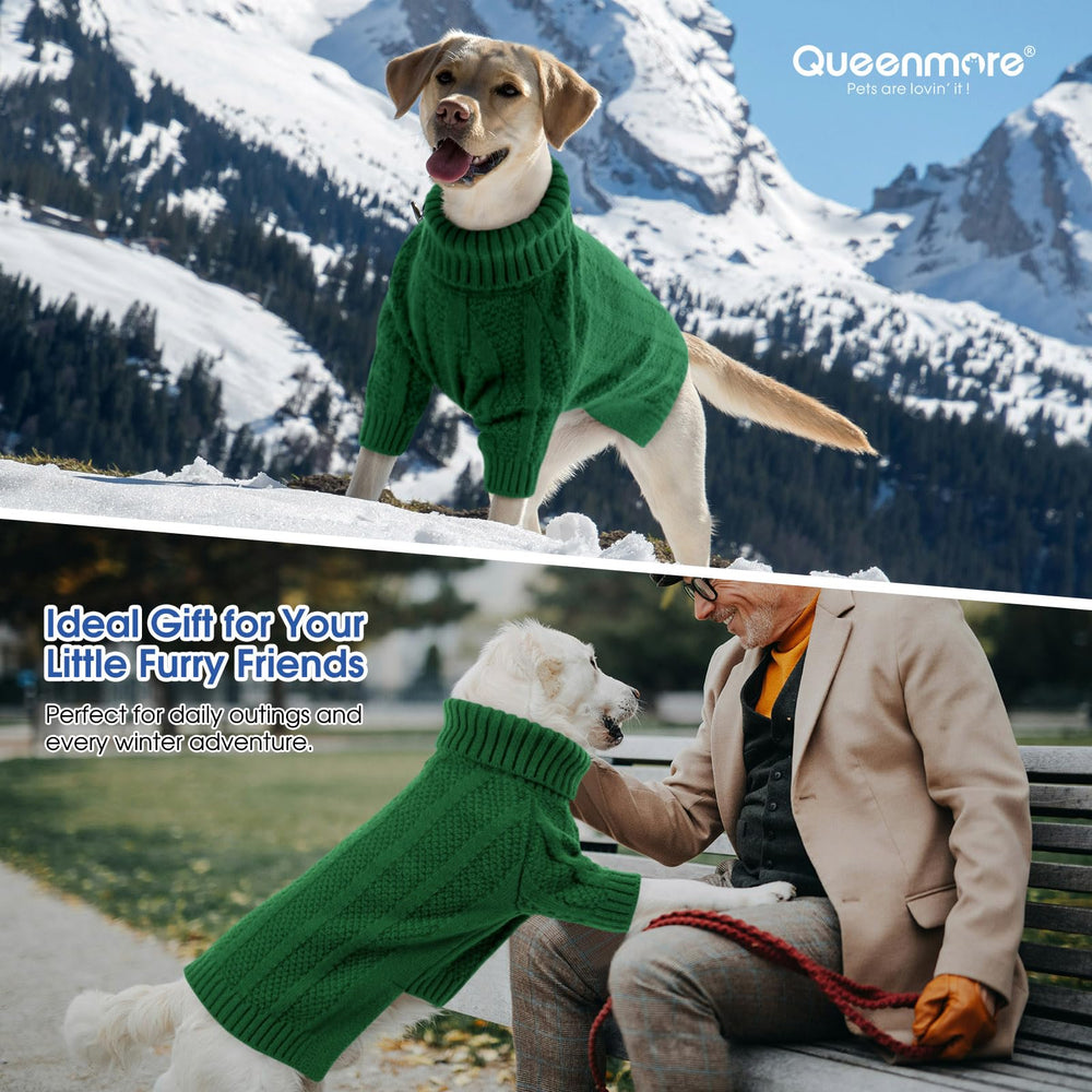 Queenmore XSmall Dog Sweater during festive photoshoot, cute holiday look.