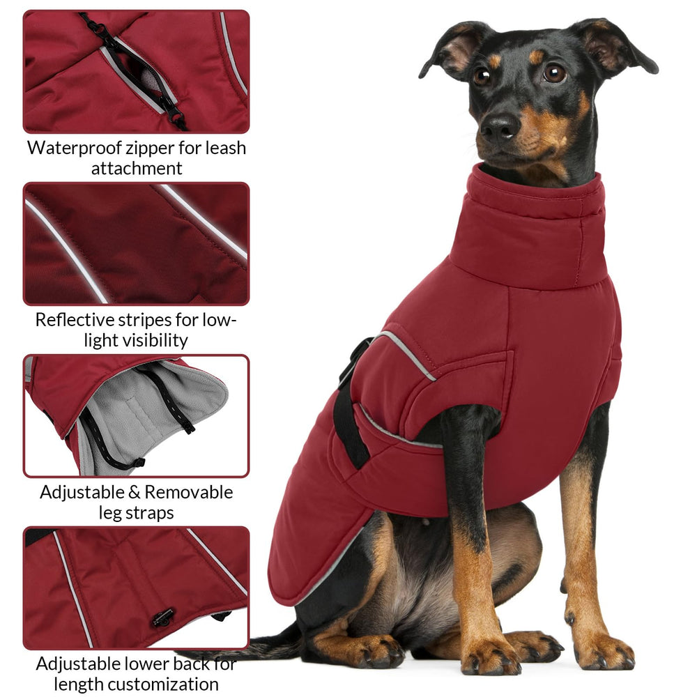 Queenmore XXL dog coat reflective strips closeup, safety for low light