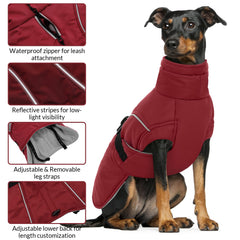 Queenmore XXL dog coat reflective strips closeup, safety for low light