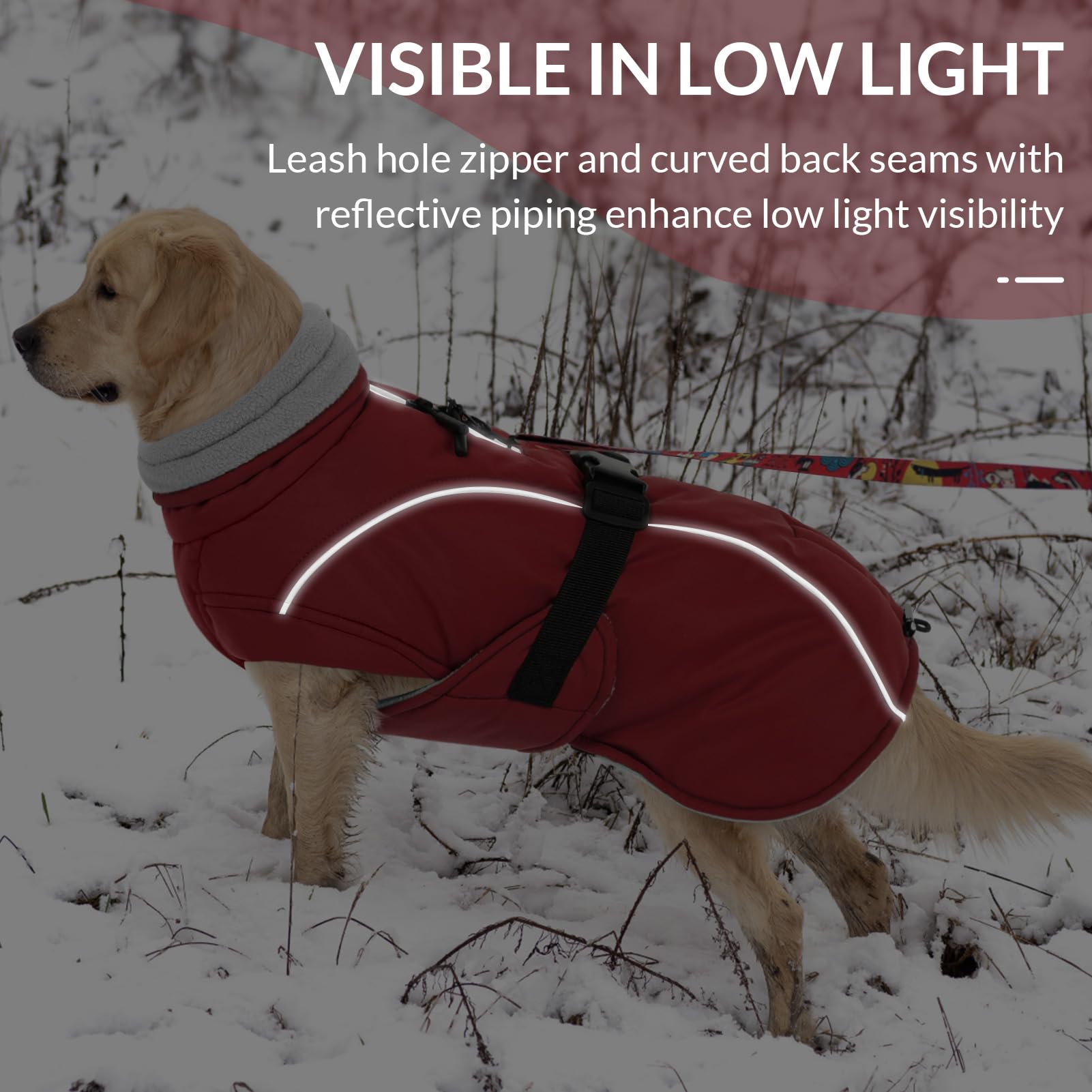 Queenmore XXL size guide image, fit for large breeds including 2XL