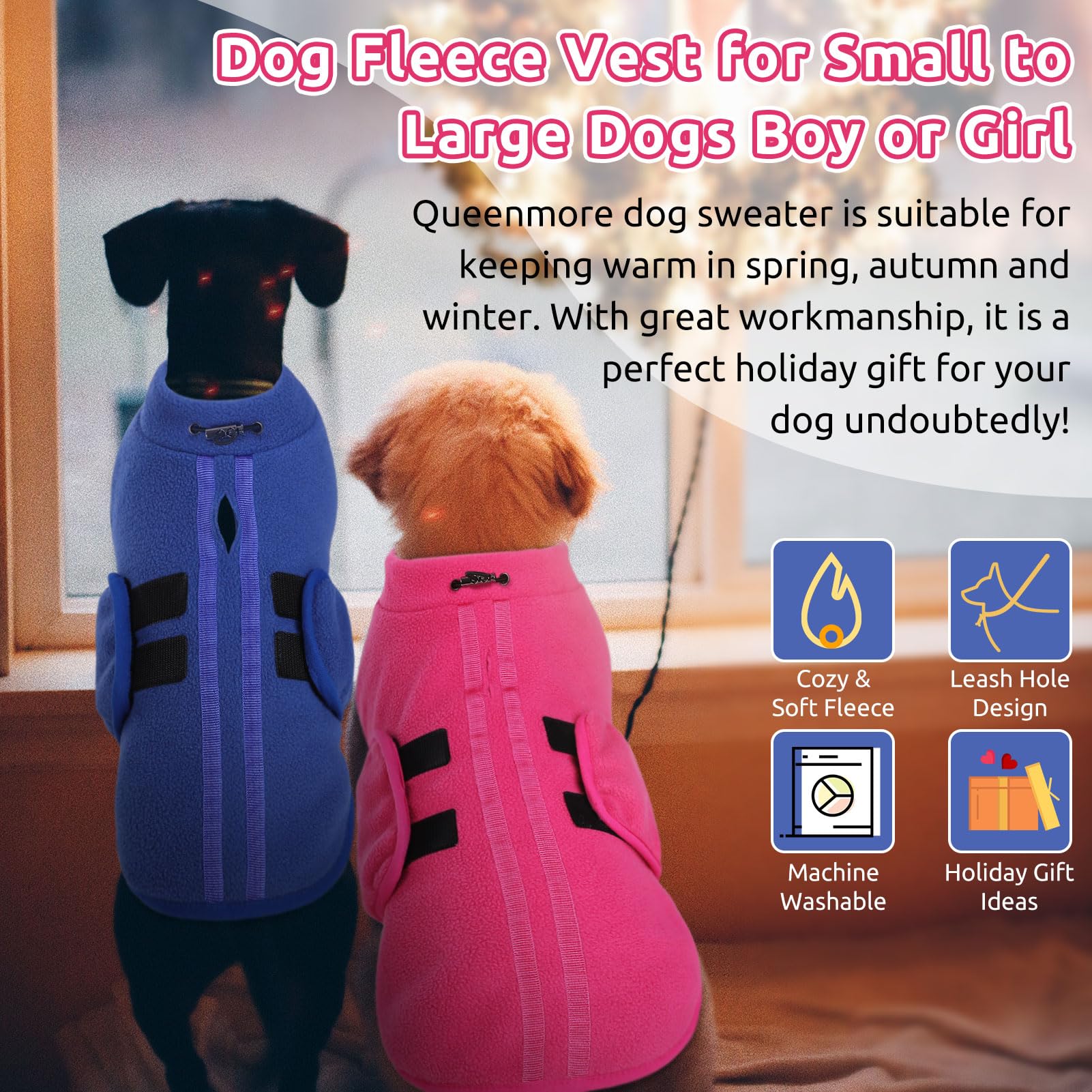 Queenmore XXS dog sweater on cat showing versatile use for small pets