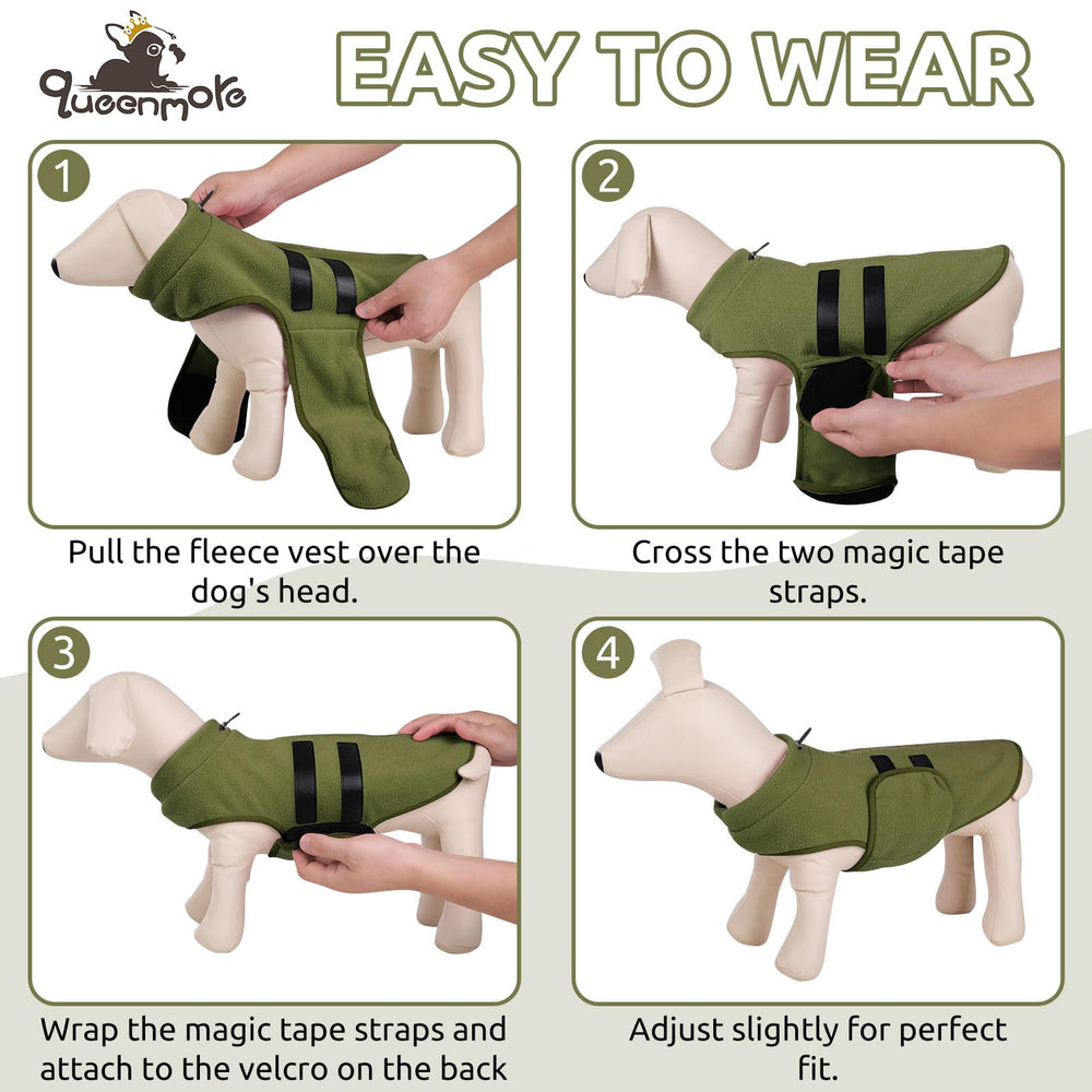 Queenmore XXS dog sweater features decorative ribbon for stylish winter outfits