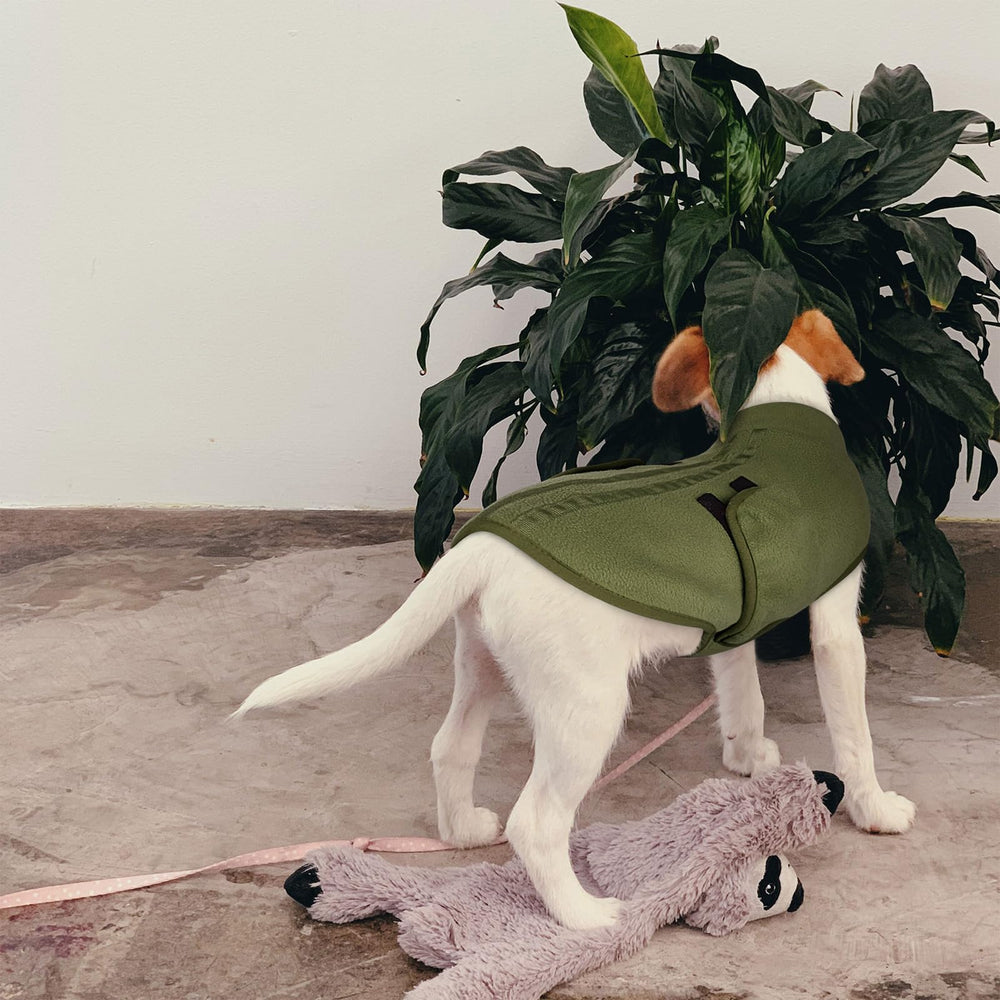 Queenmore XXS dog sweater available in XS XL size range for better fit