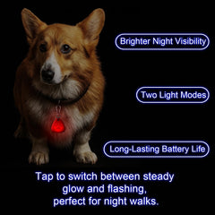 QUELIEN LED dog collar light clipped to collar for easy safety