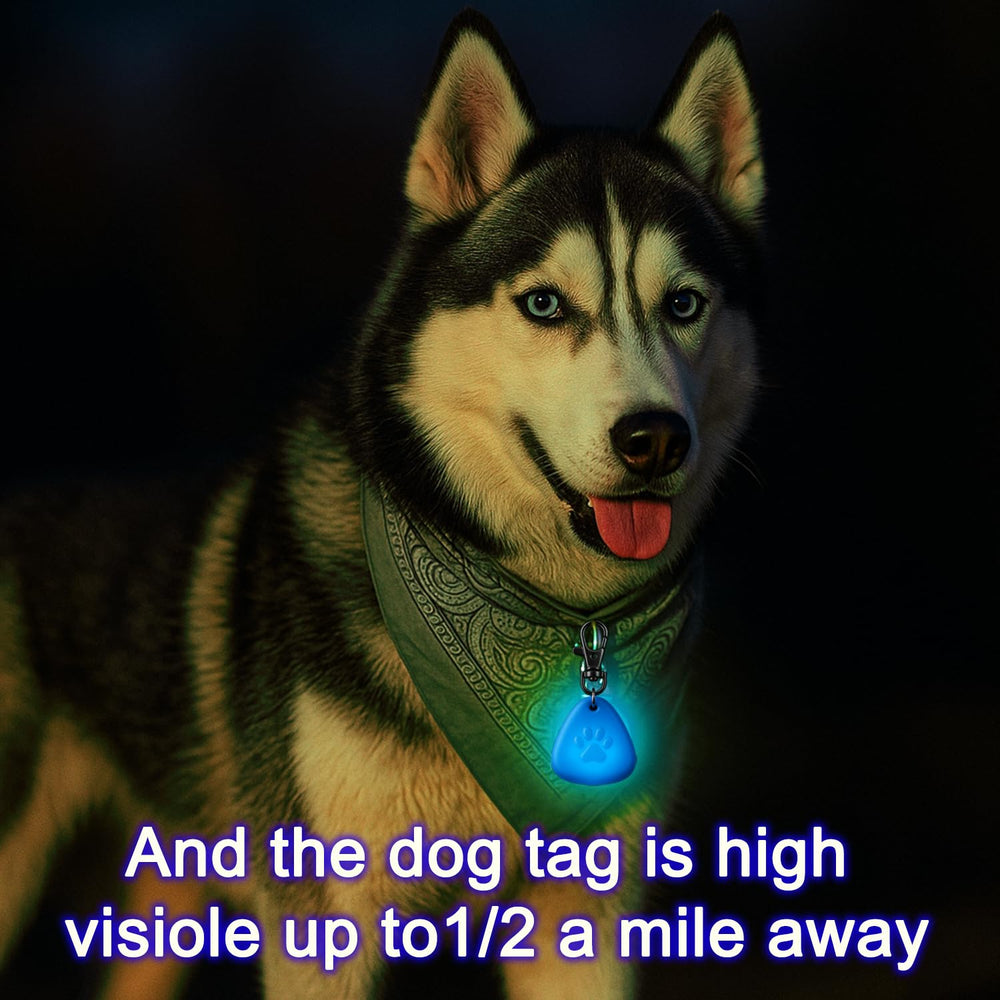 QUELIEN LED dog collar light with long-lasting battery delivers extended night safety.