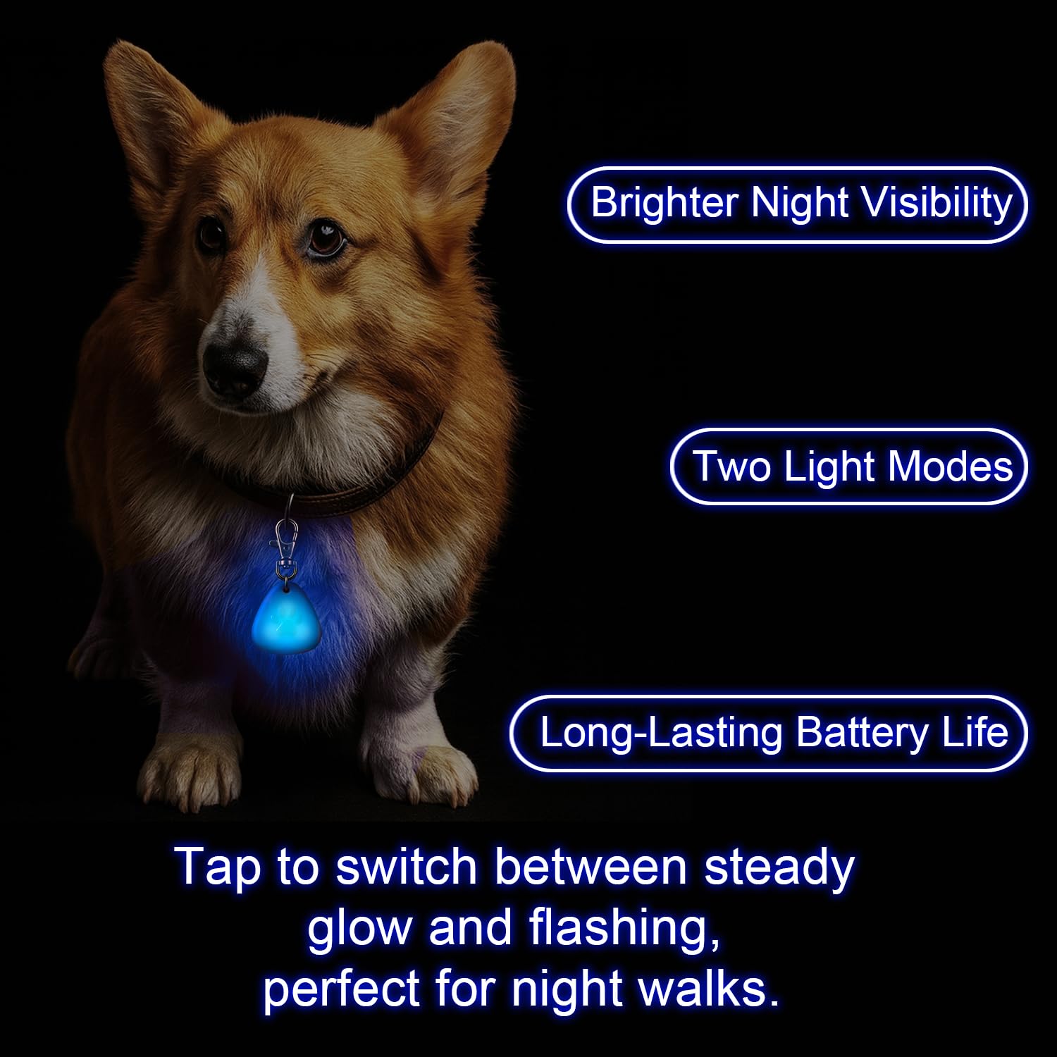 QUELIEN LED dog collar light showing steady vs flashing modes for versatile use.
