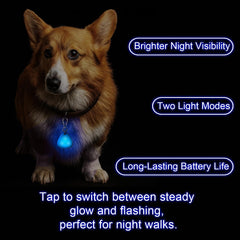 QUELIEN LED dog collar light showing steady vs flashing modes for versatile use.