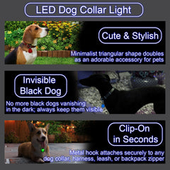QUELIEN LED dog collar light worn on nighttime walks for safety