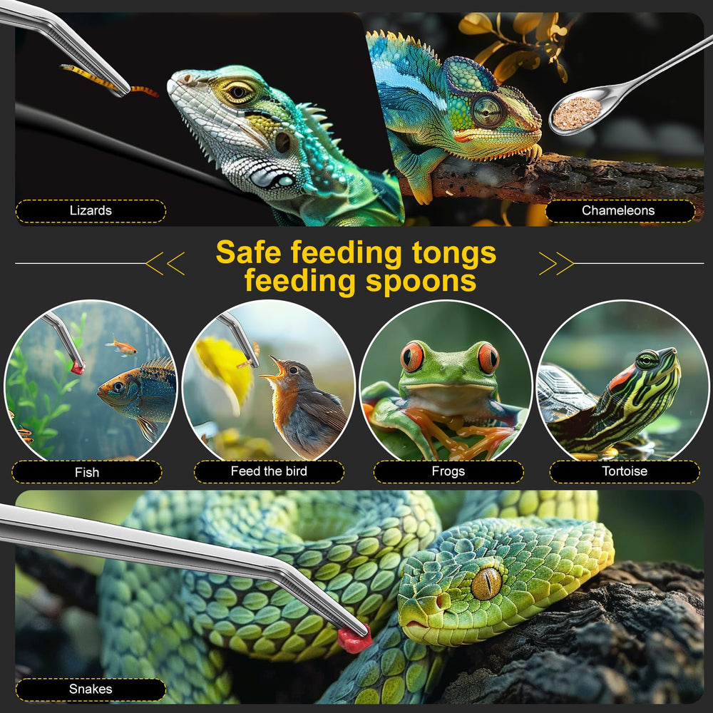 Quelong multi use aquarium tools for feeding and maintenance