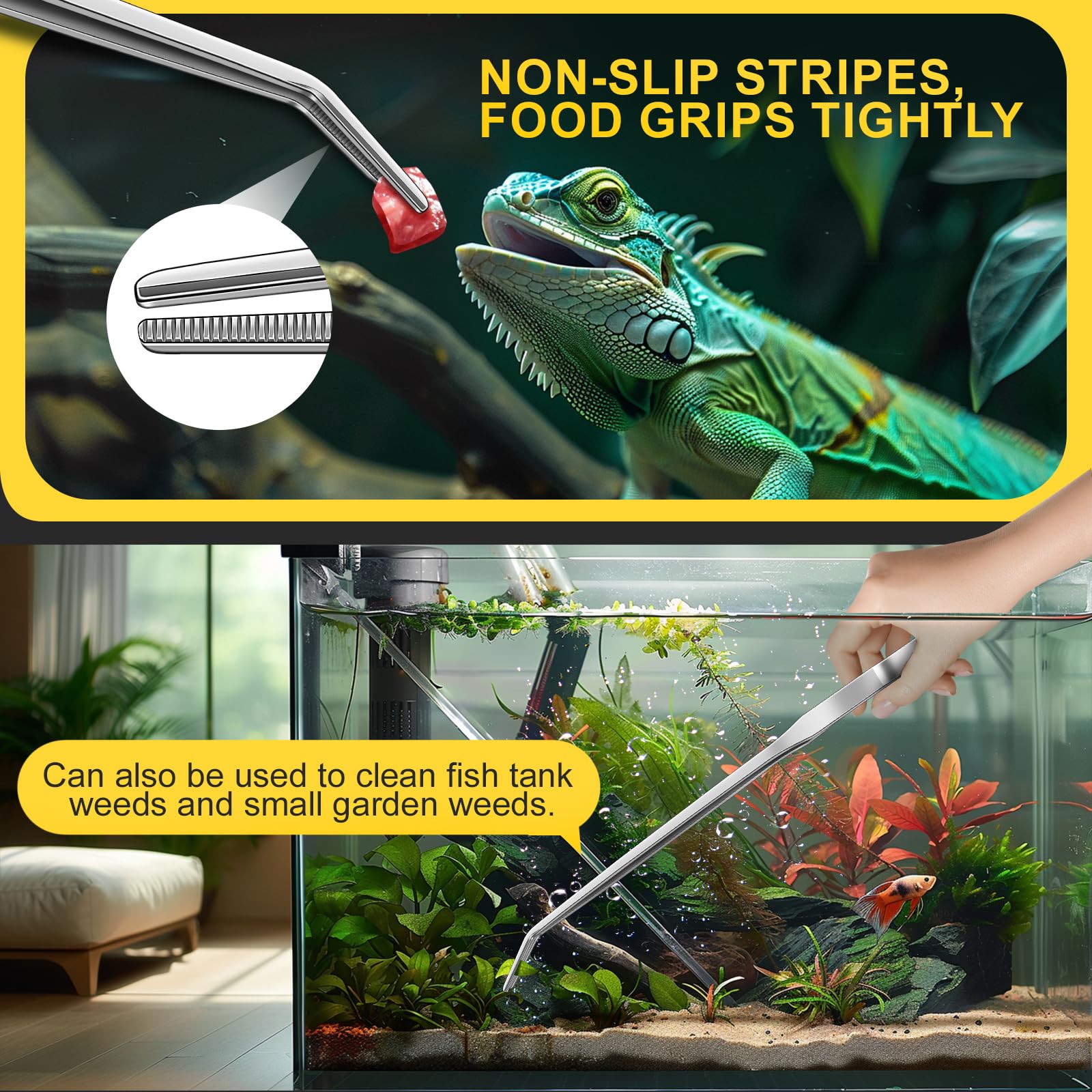 Quelong two piece feeding set simplifies reptile care tasks