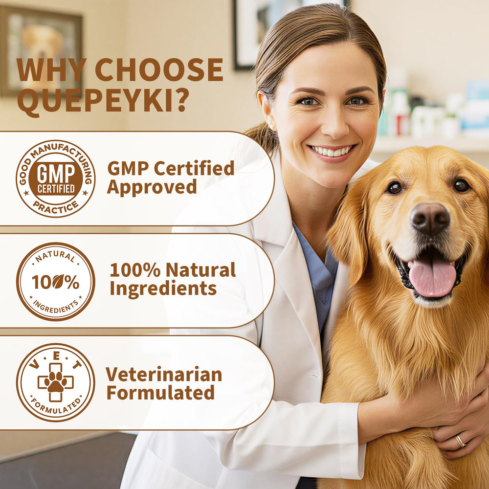 QUEPEYKI Anal Gland Chews with pumpkin seeds shown as a digestion-friendly ingredient.