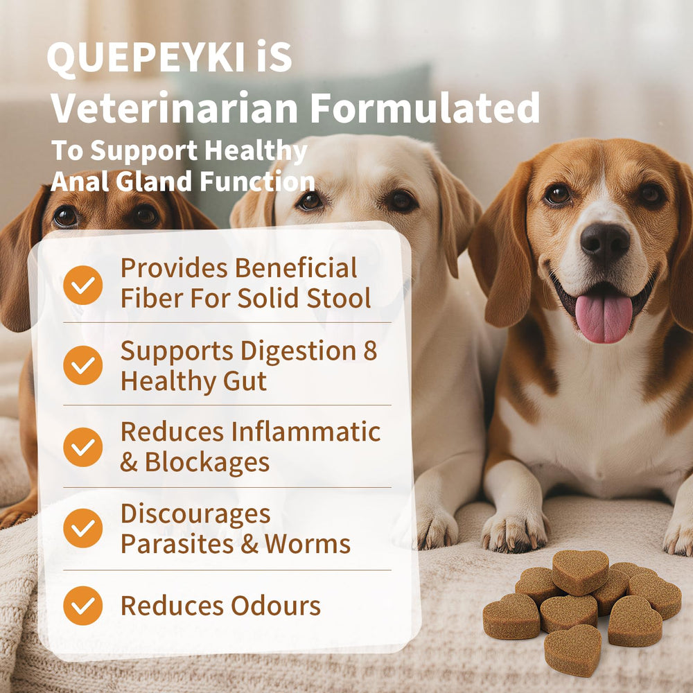 QUEPEYKI Anal Gland Chews in a serving dish showing appealing chicken-flavored treat.